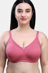 Maroon Clothing Double Layered Non Wired Full Coverage T-Shirt Bra (Pack of 2) - Multicolor — thumbnail 2